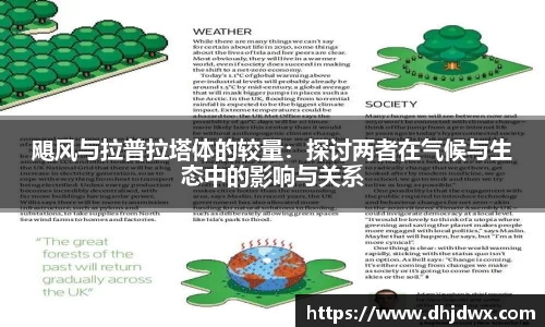 飓风与拉普拉塔体的较量：探讨两者在气候与生态中的影响与关系