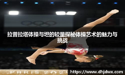 拉普拉塔体操与坦的较量探秘体操艺术的魅力与挑战